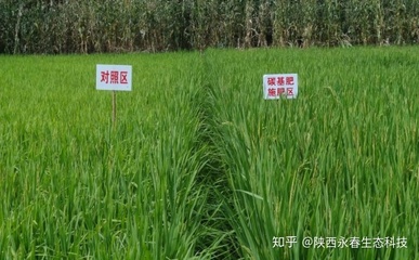 袁隆平院士都给他点赞,刘存寿研发的永春碳基营养肥系列